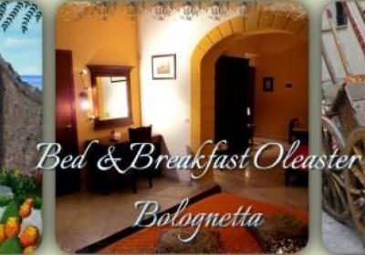 Bed And Breakfast Oleaster
